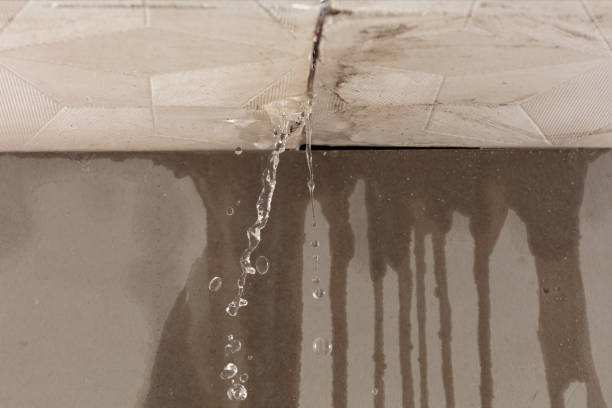 Professional Water Damage Restoration technician working in Colfax, LA